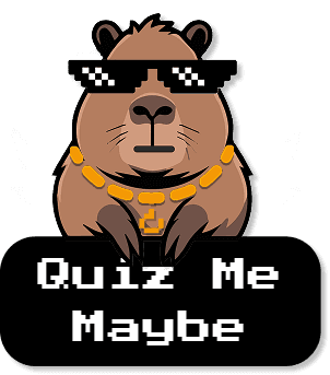 QuizMeMaybe Logo